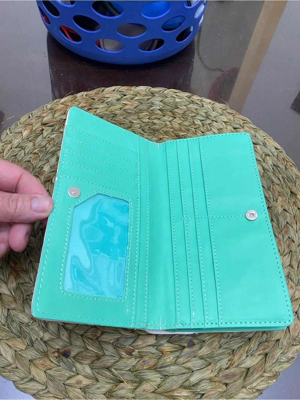 Cat Bubblegum Teal Wallet - Pets Cat Accessory